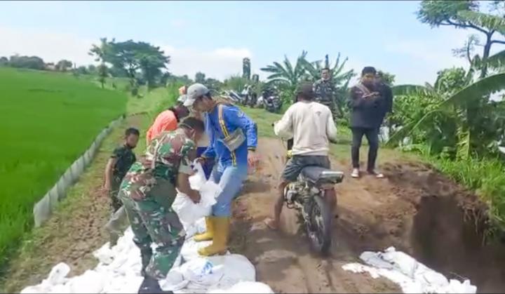 Bersama Warga Pilang, Koramil Kanor Perkuat Bibir Tanggul Sungai